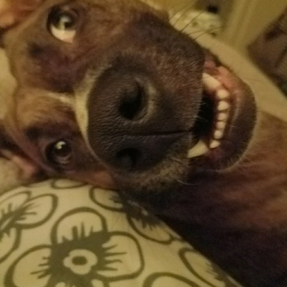 Meet your Posher, Rachael